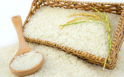 Xuất Khẩu Gạo Sạch