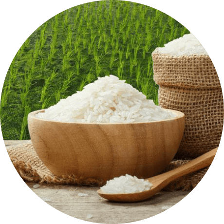 Gạo
