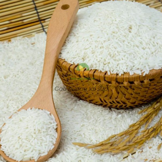 Gạo Lài Sữa